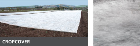 CROPCOVER