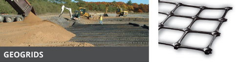 GEOGRIDS
