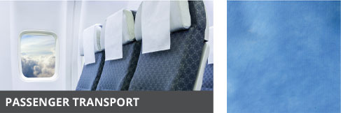 PASSENGER TRANSPORT
